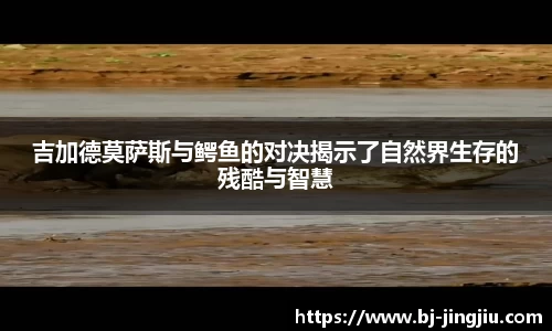 XK·星空(体育中国)